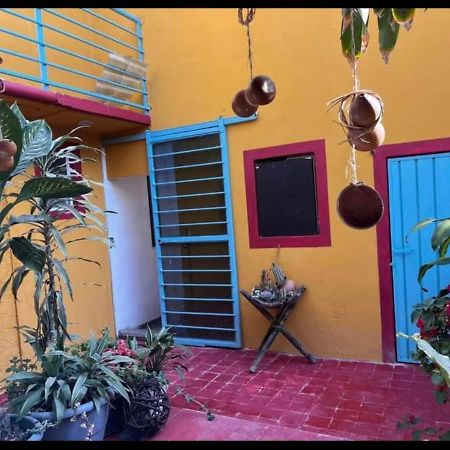 Casa Grey Otel Oaxaca Dış mekan fotoğraf