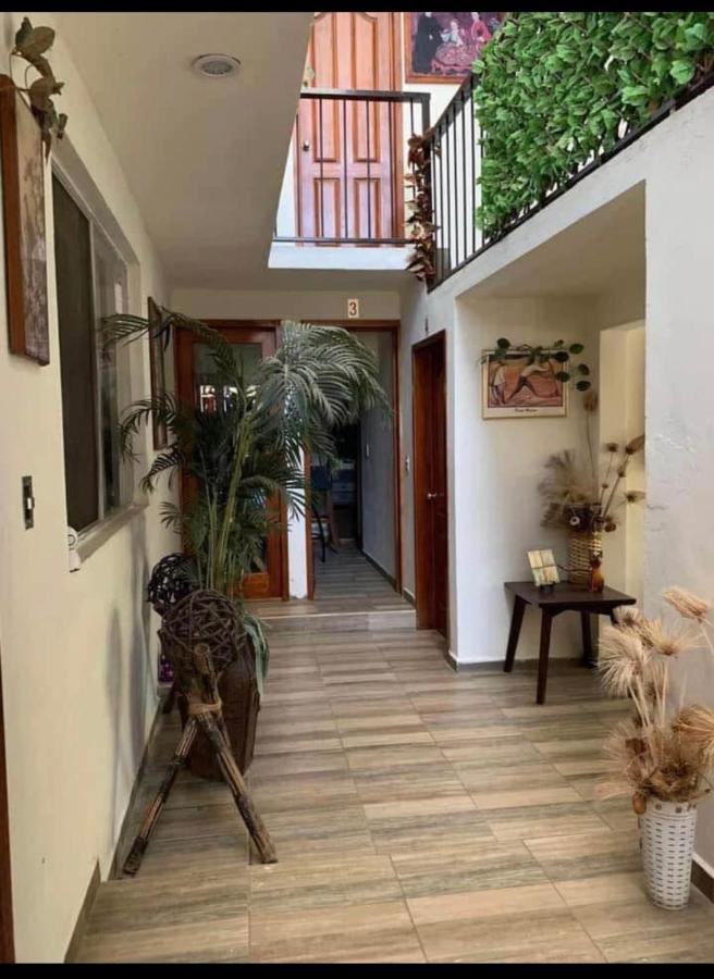 Casa Grey Otel Oaxaca Dış mekan fotoğraf