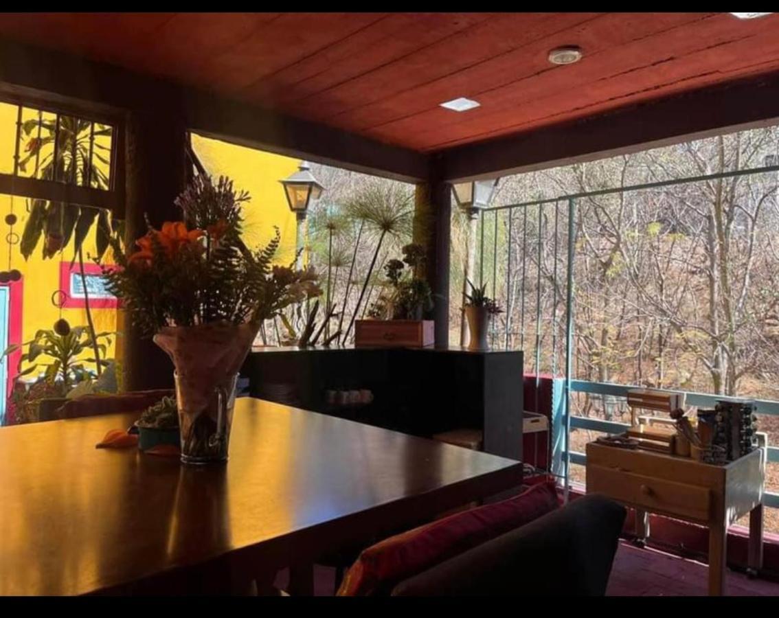Casa Grey Otel Oaxaca Dış mekan fotoğraf