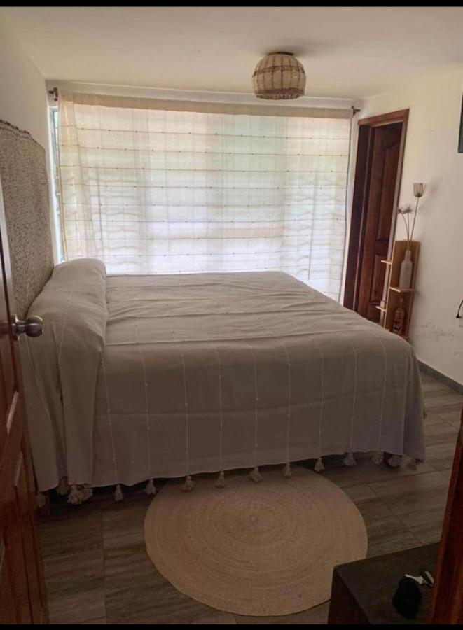 Casa Grey Otel Oaxaca Dış mekan fotoğraf